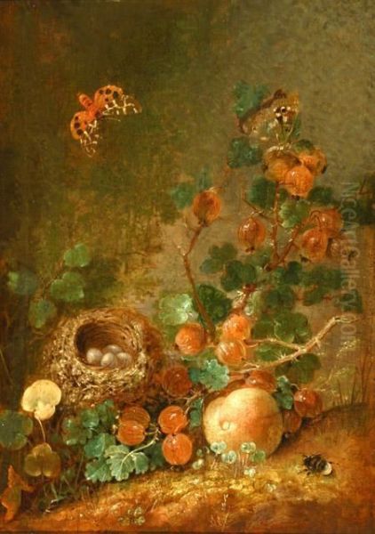 Still Lifes: - view 1