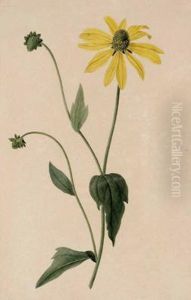 3 Blumenaquarelle 3 Blumenaquarelle