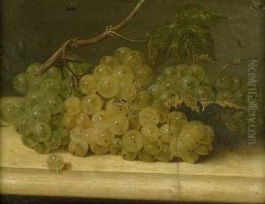 Traubenstilleben Mit Insekten by Johann Kneipp
