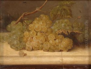 Traubenstilleben Mit Insekten. by Johann Kneipp