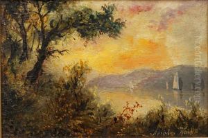 Coastal Landscape