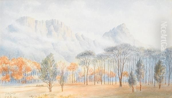 Table Mountain From Newlands - view 1