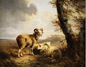 Schafe Am Feldrand Unter Lichten Birkenbaumen by Joseph Augustus Knip