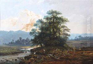 Heuvellandschap Met Reigers Bij Een Riviertje