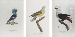 Paris: Mame For Mme Knip And Garneray, [1808-] 1811