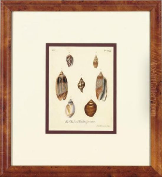Les Delices Des Yeux Et De L'esprit: Eight Plates - view 1