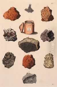 A Group Of 5 Plates Of Minerals And Crystals by Georg Wolfgang Knorr