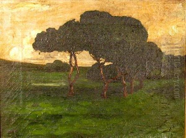 Summer Trees - view 1