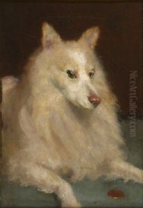 A White Border Collie