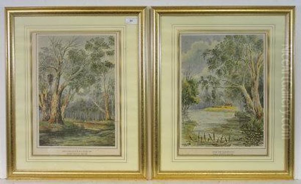 Red Gums Goulburn River - view 1