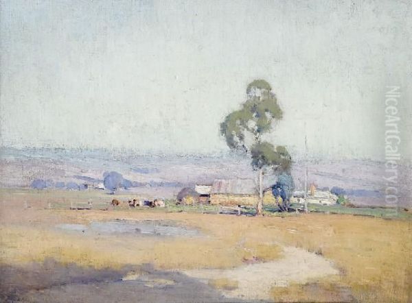 Landscape - view 1