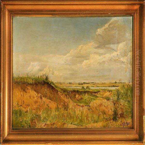 Bakket Landskab - view 1