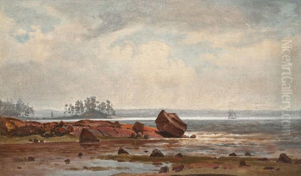 Misty Coastal View - view 1