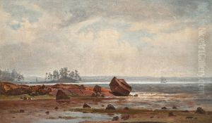 Misty Coastal View