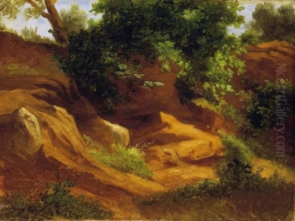 Forest Scene - view 1