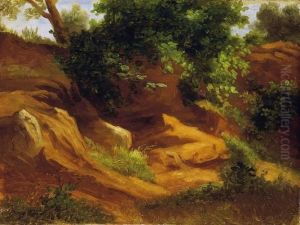 Forest Scene Forest Scene