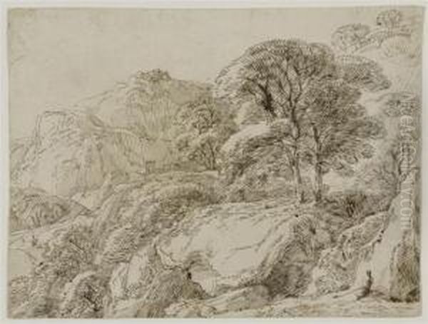 Landscape Studies - view 1
