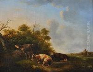 Cows Resting By A Wood With Haymaking In The Background
