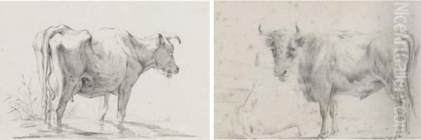 A Cow, Seen From Behind, Standing In A Stream; And Two Cows By Afence - view 1