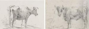 A Cow, Seen From Behind, Standing In A Stream; And Two Cows By Afence