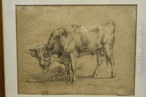 Stier by Janbaptist Ii Kobell
