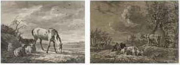 A Horse And Sheep In A Meadow - view 1