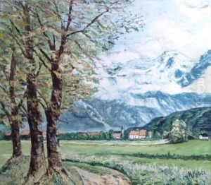 Blick Auf Ein Alpendorf Vor Verschneitem Bergzug
