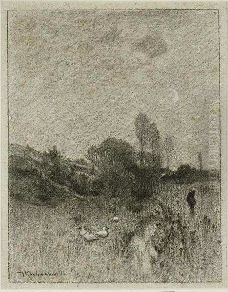 Landscape - view 1