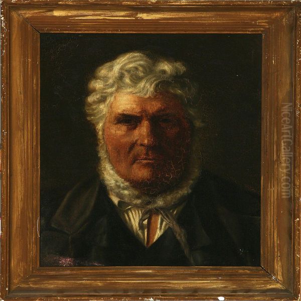 Man With White Hair And Beard - view 1