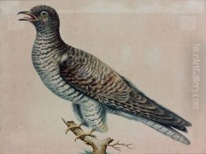 Etude D'oiseau by Barend Cornelis Koekkoek