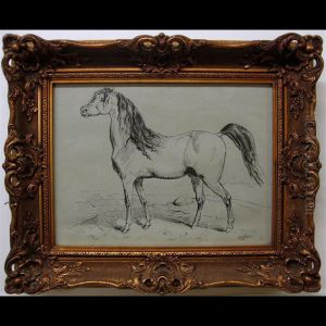Horse Studies by Hermanus Willem Koekkoek
