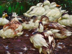 Enten