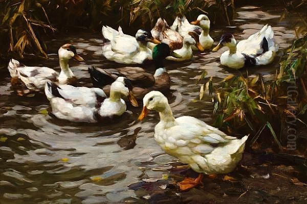 The Duck Pond - view 1