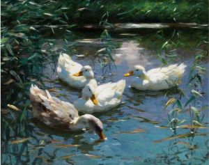 Vier Enten Im Teich Vier Enten Im Teich