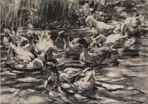 Entenschar Im Wasser Am Schilfufer by Alexander Max Koester