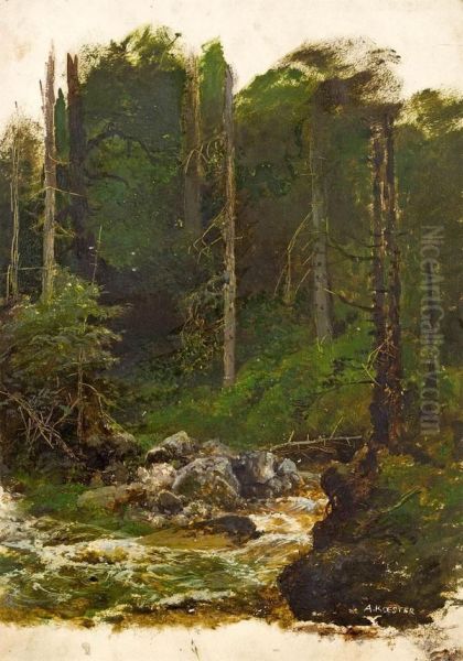 Waldstudie - view 1