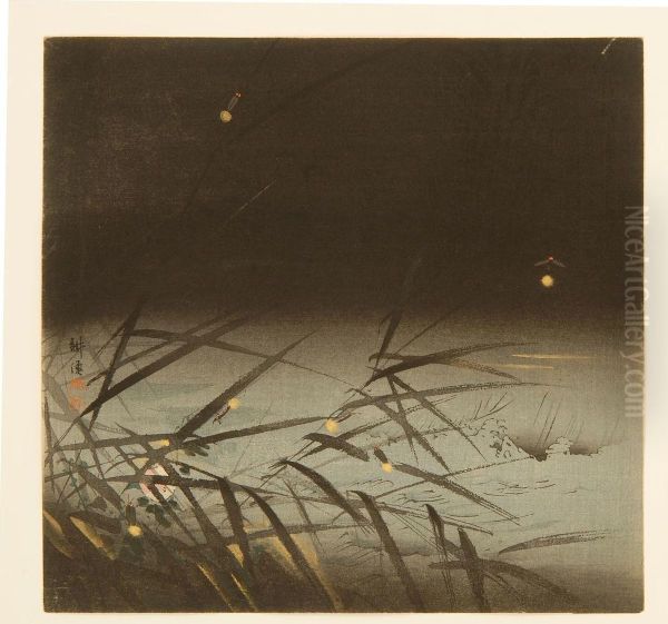 Fireflies - view 1