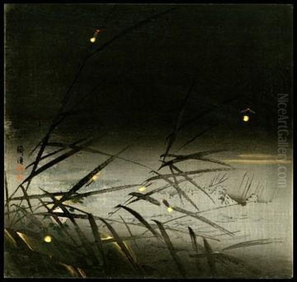Fireflies - view 1
