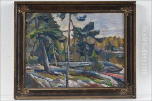 Peilityyni Jarvi - Spegellugn Insjo by Rudolf Koivu