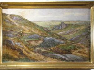 Weite Hugelige Landschaft Weite Hugelige Landschaft