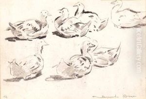 Enten by Demeter Koko