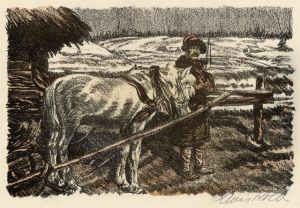 Aus Den Karpathen Und Ostgalizien by Alois Kolb