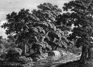 Waldlandschaft Mit Abgestorbenem Baumstumpf by Carl Wilhelm Kolbe