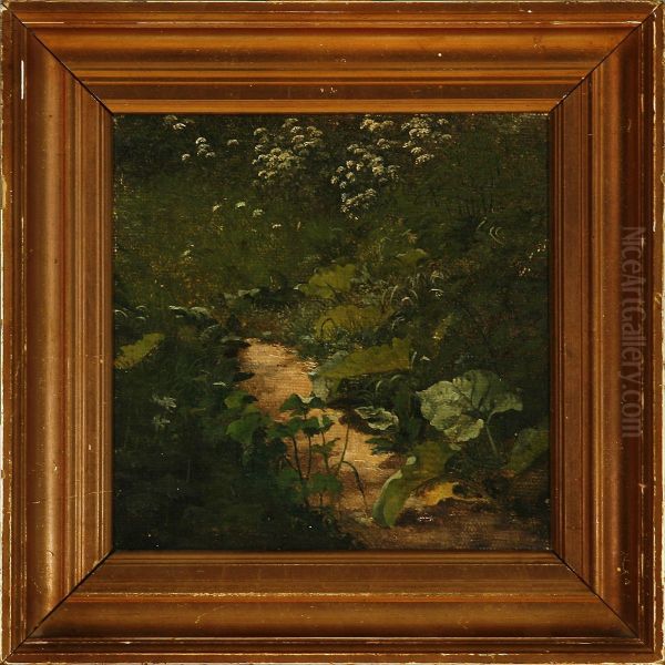 Path - view 1