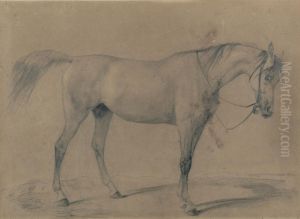 Pferdestudie by Rudolf Koller