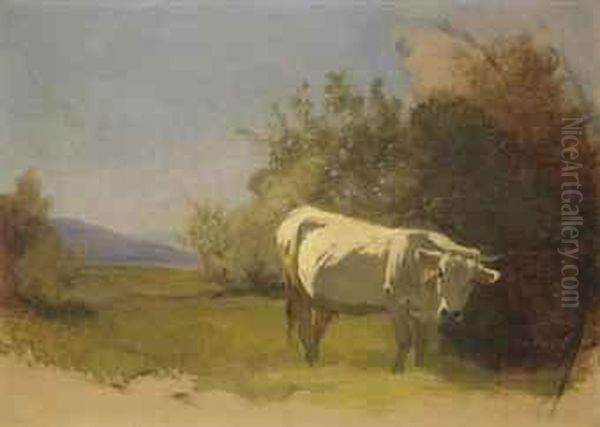 Kuh In Landschaft - view 1