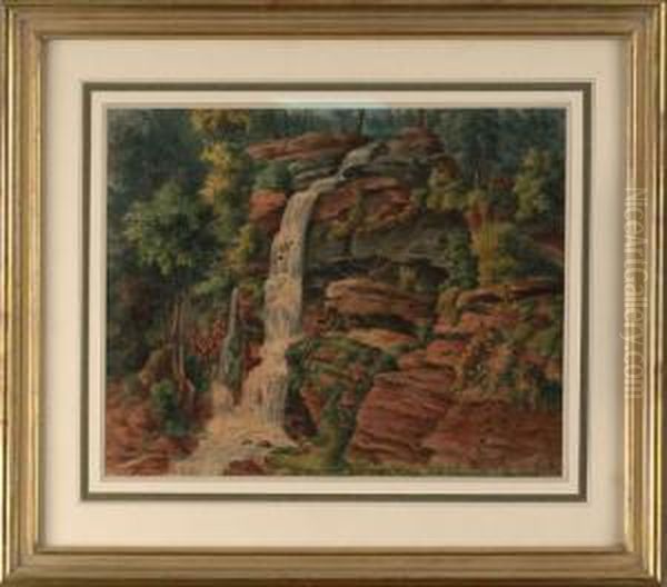 Landscape - view 1