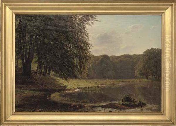 A Sunlit Lake Landscape - view 1