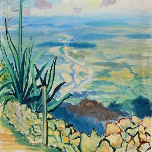 Landscape, Colombia Landscape, Colombia