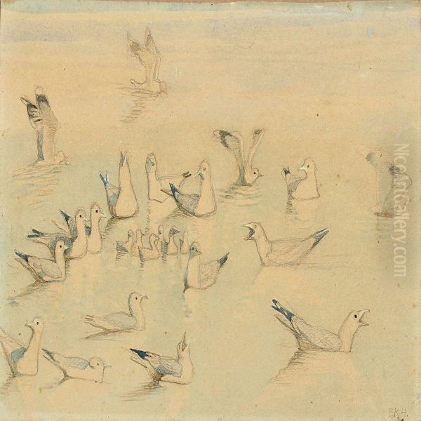 Gulls - view 1